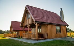 Dreamland Skorupki